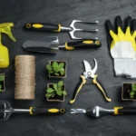 Best Garden Tools for a Successful Harvest