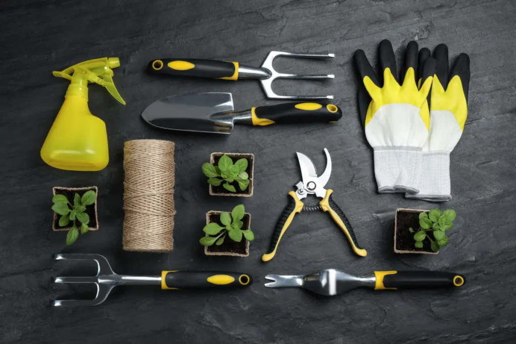 Best Garden Tools for a Successful Harvest