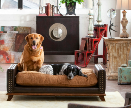 Pet-Friendly Home Decor