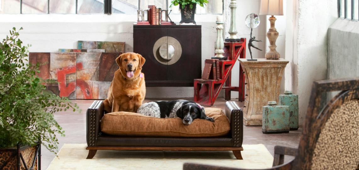 Pet-Friendly Home Decor